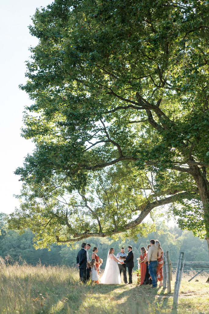A couple exchanges their vows underneath an oak tree at Lequire Cemetary Outlook at their Cades Cove wedding in Smoky Mountains National Park